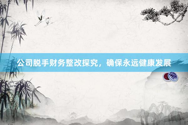 公司脱手财务整改探究，确保永远健康发展