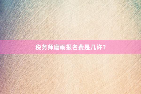 税务师磨砺报名费是几许？